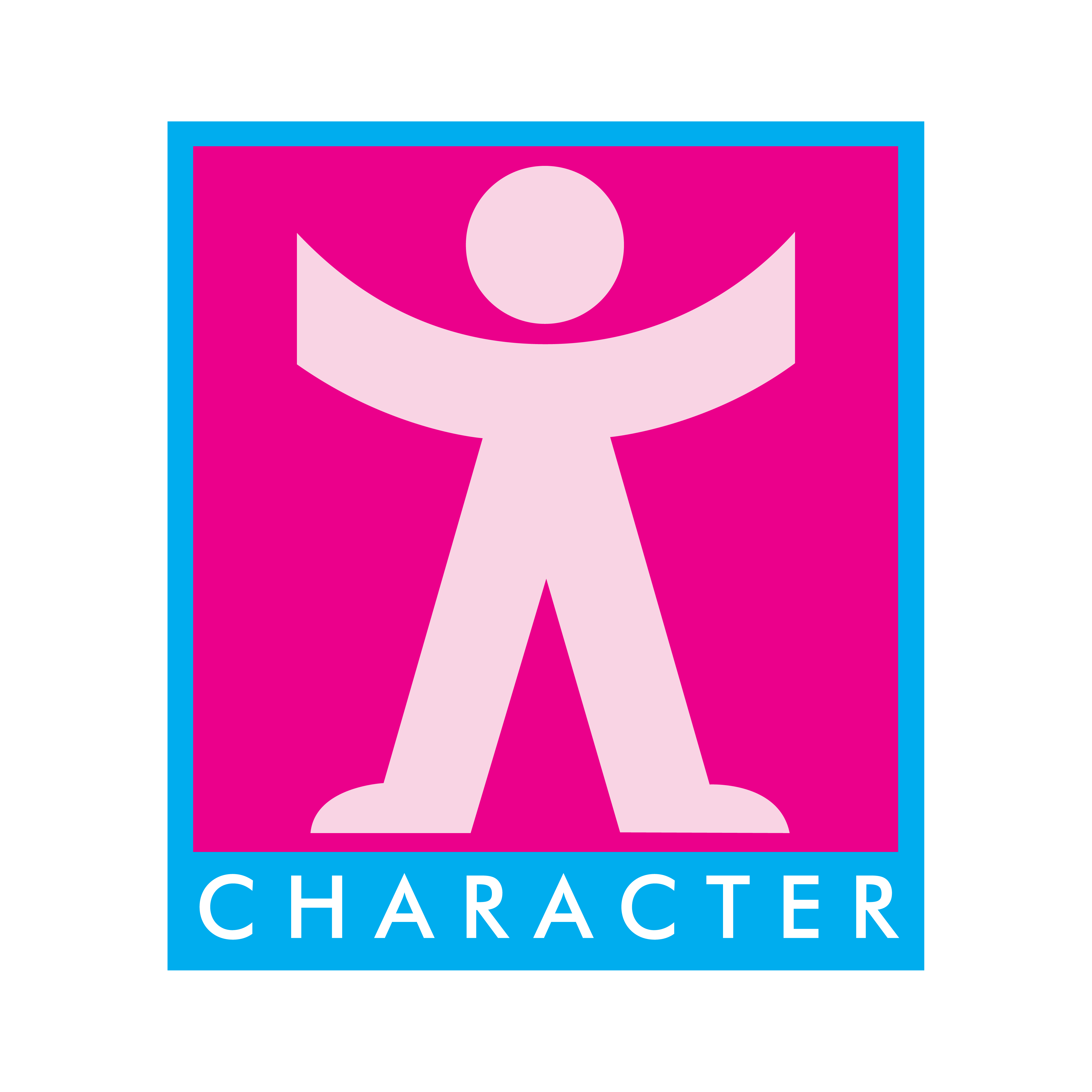 CHARACTER OPTIONS