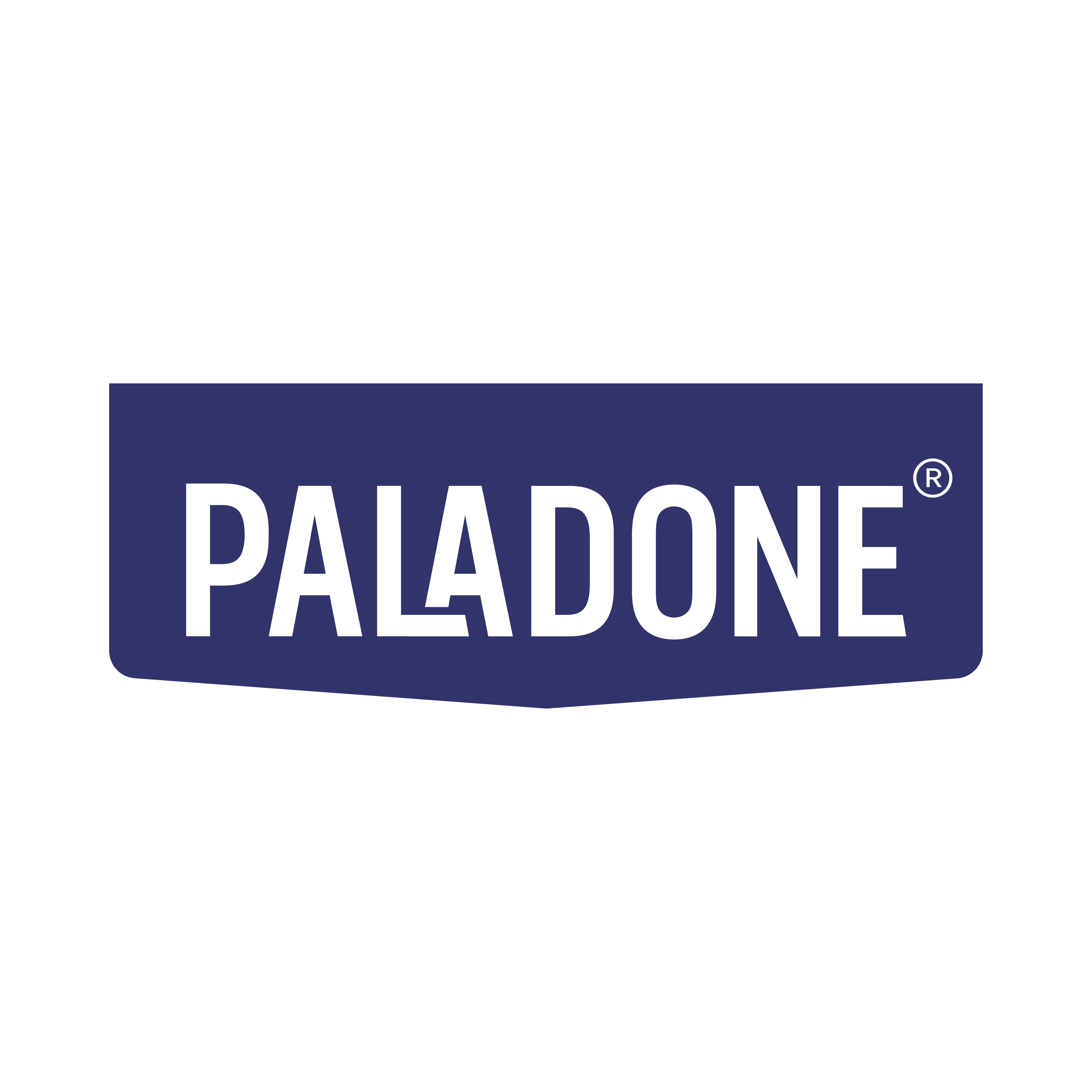 PALADONE PRODUCTS